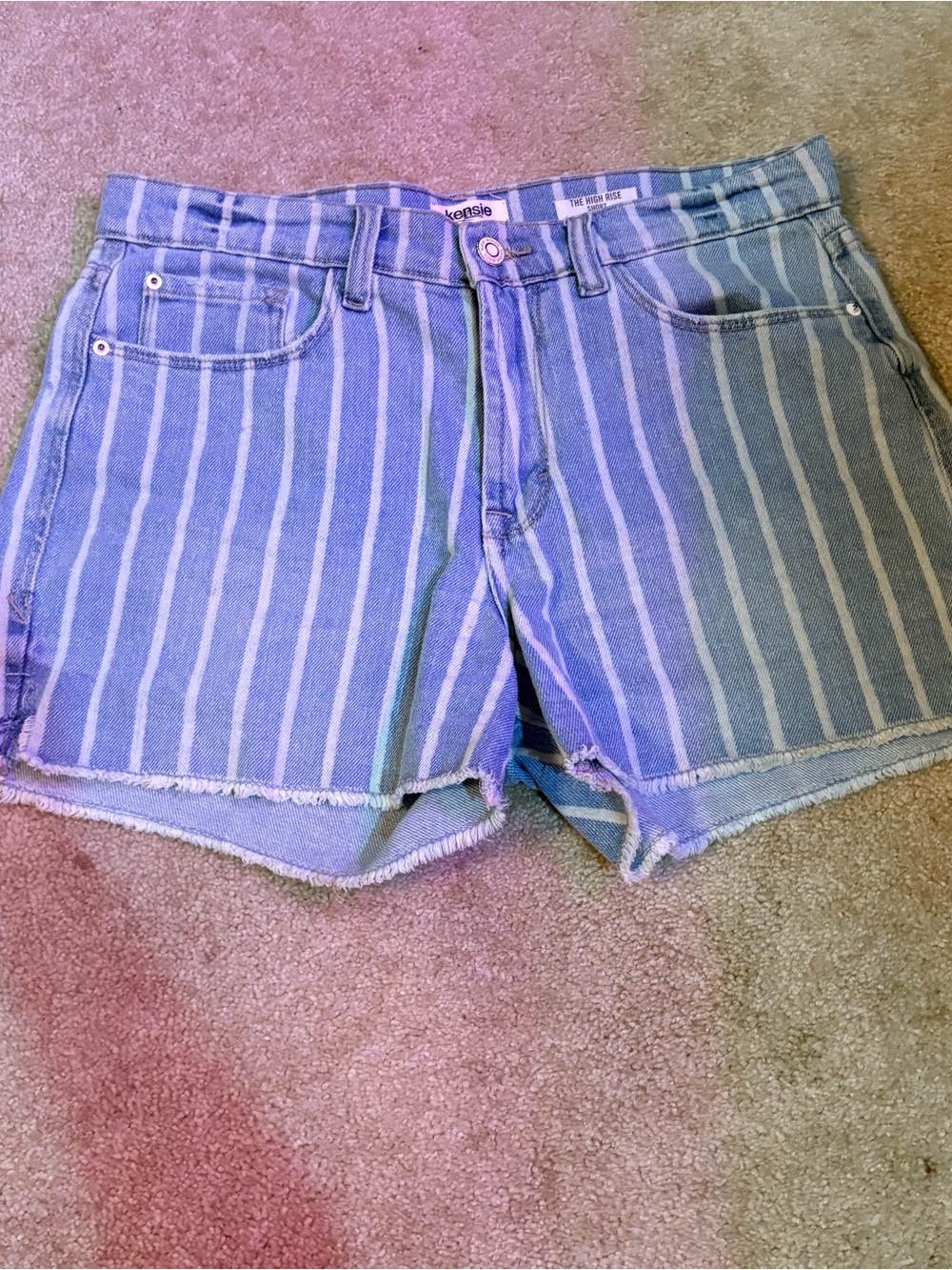 Kensie Blue and White Striped Denim Shorts